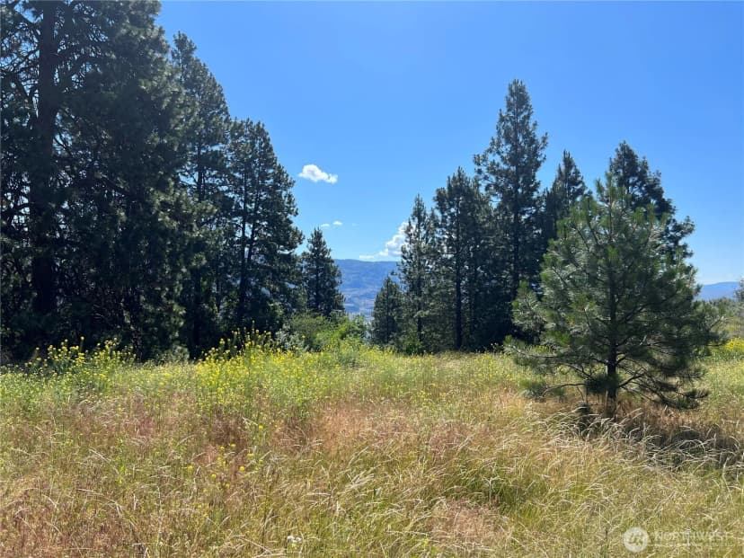 Property photo for 113 Eagles Bluff Road, Oroville photo 27