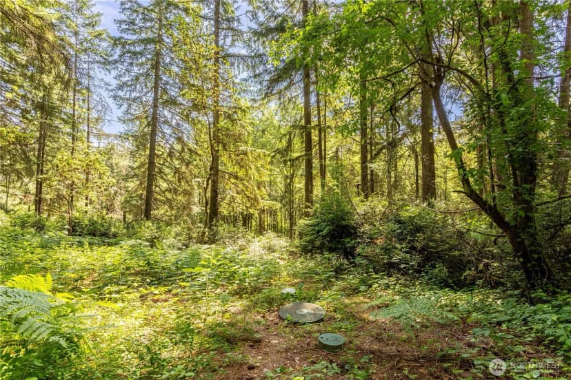 Property photo for 14924 105th Street Ct Nw, Gig Harbor photo 23