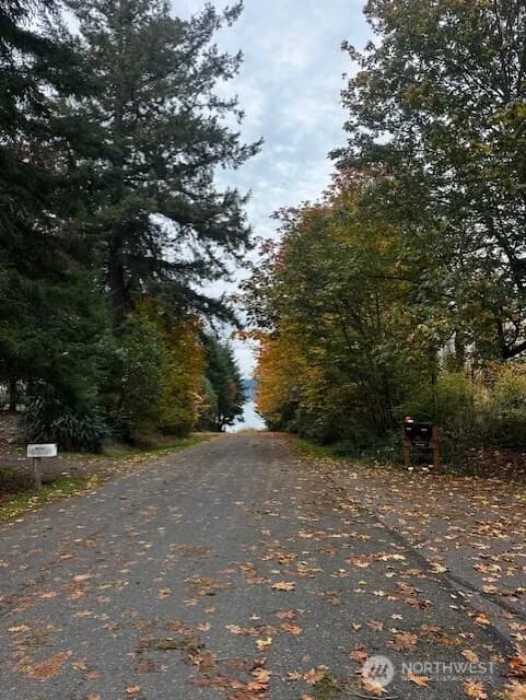 Property photo for 9303 Key Peninsula Highway Sw, Longbranch photo 14