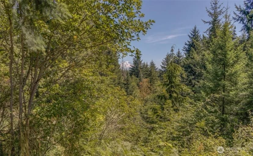 Property photo for 17148 Russian Hill Lane Se, Rainier photo 5