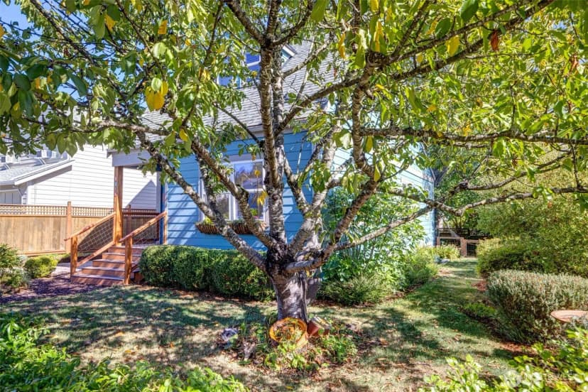 Property photo for 5416 46th Avenue S, Seattle photo 3