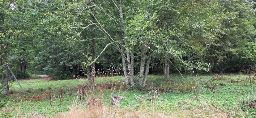 Property photo for 26278 Old Day Creek Road, Sedro Woolley photo 11