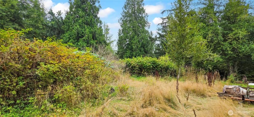 Property photo for 26278 Old Day Creek Road, Sedro Woolley photo 18