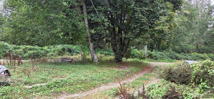 Property photo for 26278 Old Day Creek Road, Sedro Woolley photo 13