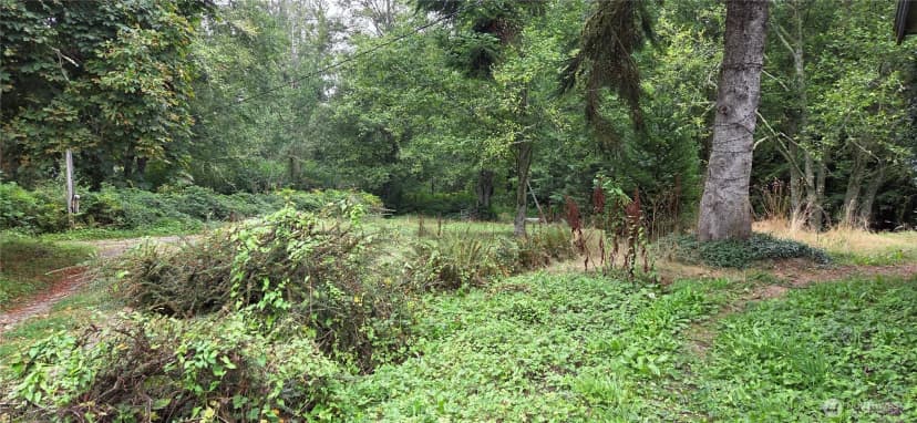 Property photo for 26278 Old Day Creek Road, Sedro Woolley photo 12