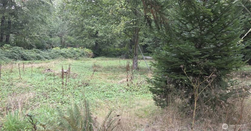 Property photo for 26278 Old Day Creek Road, Sedro Woolley photo 9