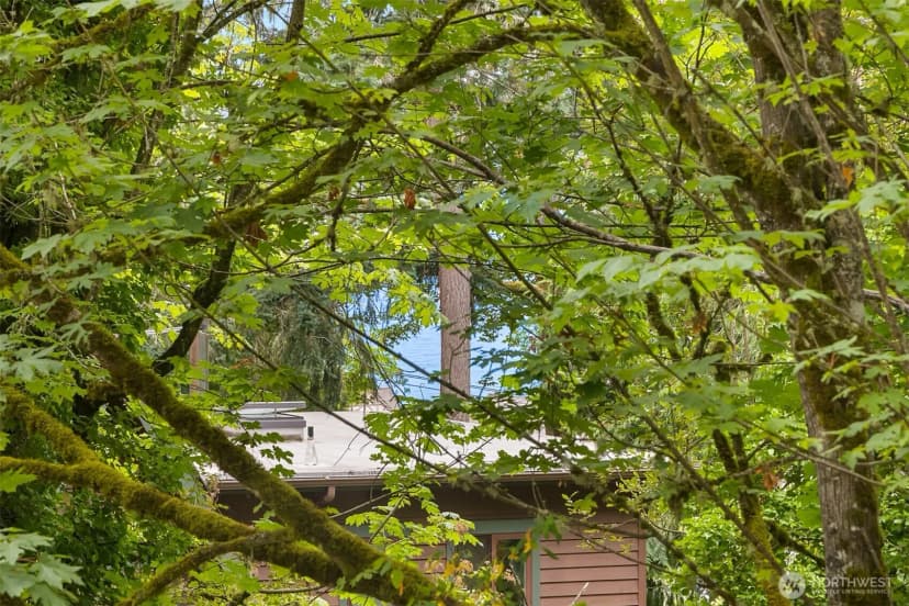 Property photo for 7950 Ne Baker Hill Road, Bainbridge Island photo 32