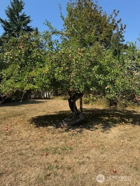 Property photo for 815 1st Avenue Ne, Napavine photo 24