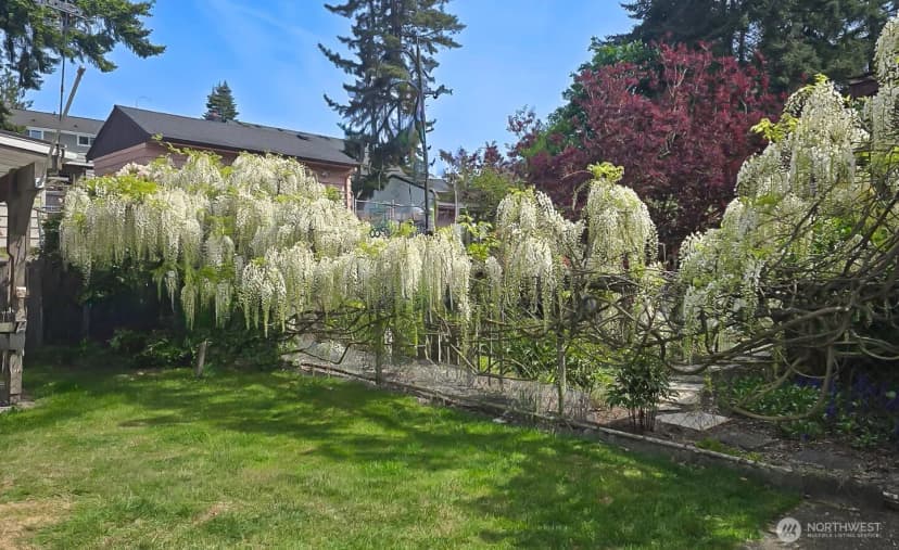 Property photo for 1807 N 170th Street, Shoreline photo 11