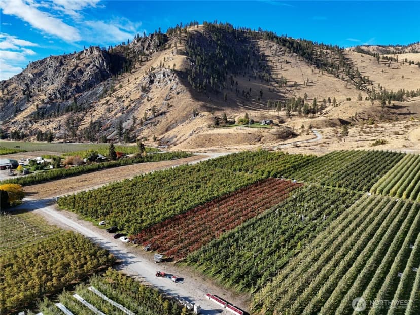 Property photo for 263 Oliver Lane, Chelan photo 13
