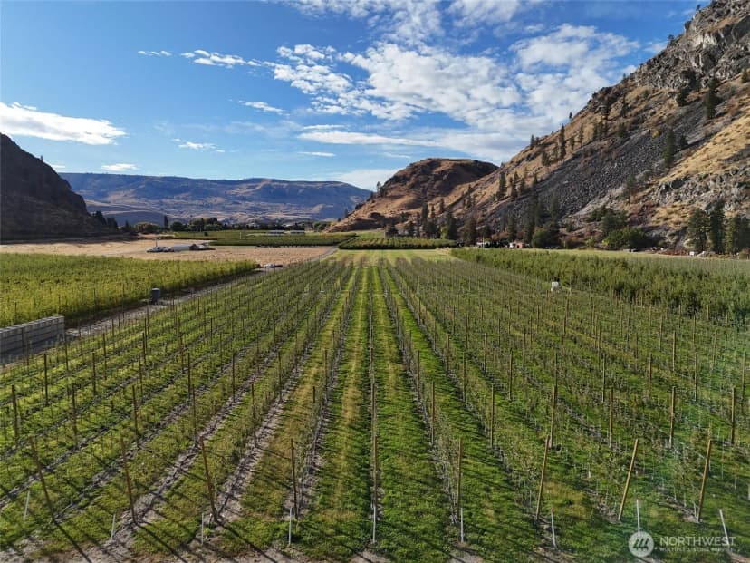 Property photo for 263 Oliver Lane, Chelan photo 9