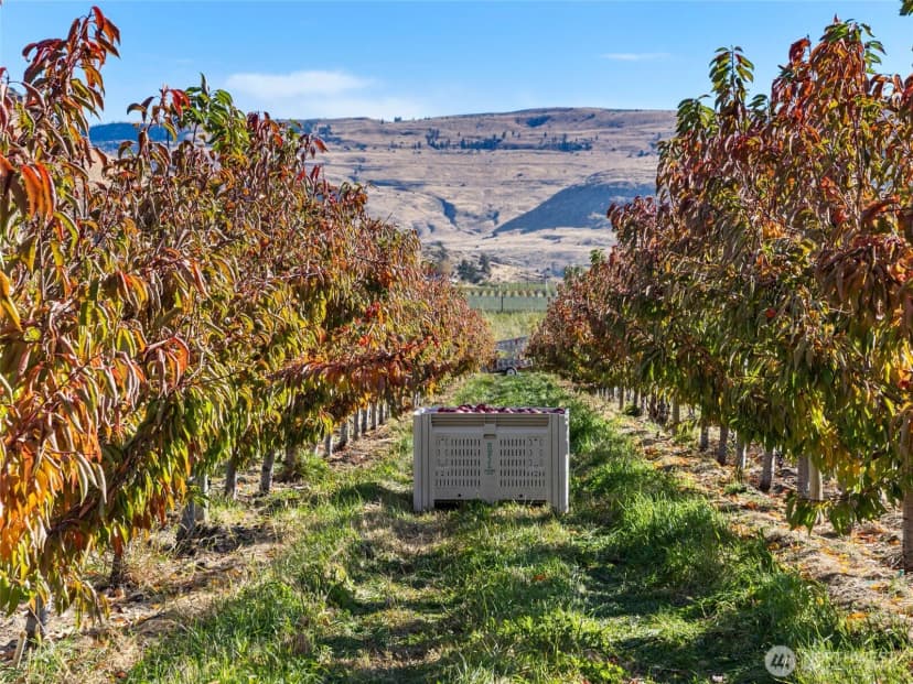 Property photo for 263 Oliver Lane, Chelan photo 23