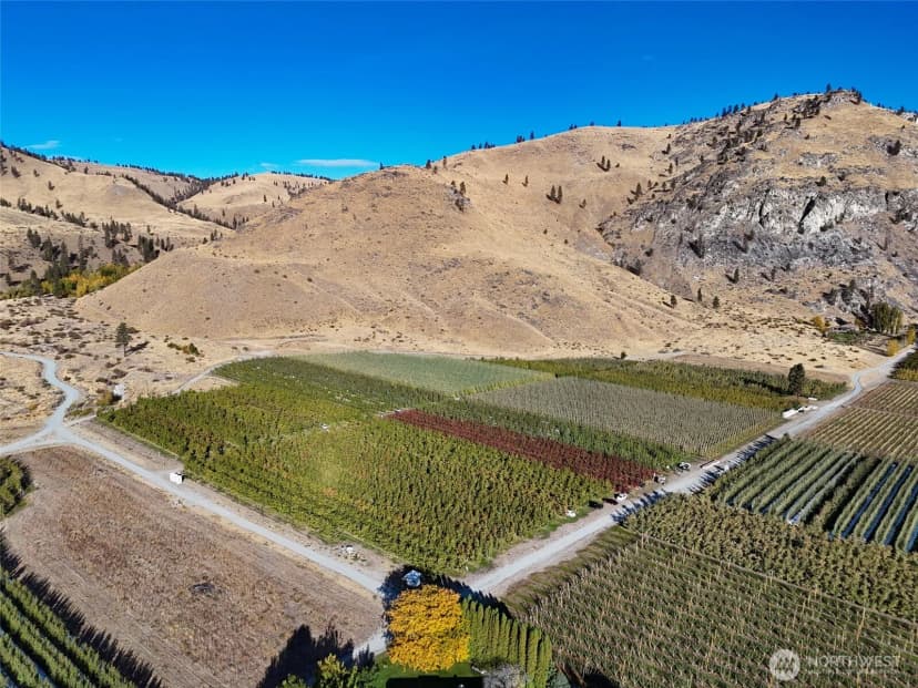 Property photo for 263 Oliver Lane, Chelan photo 6