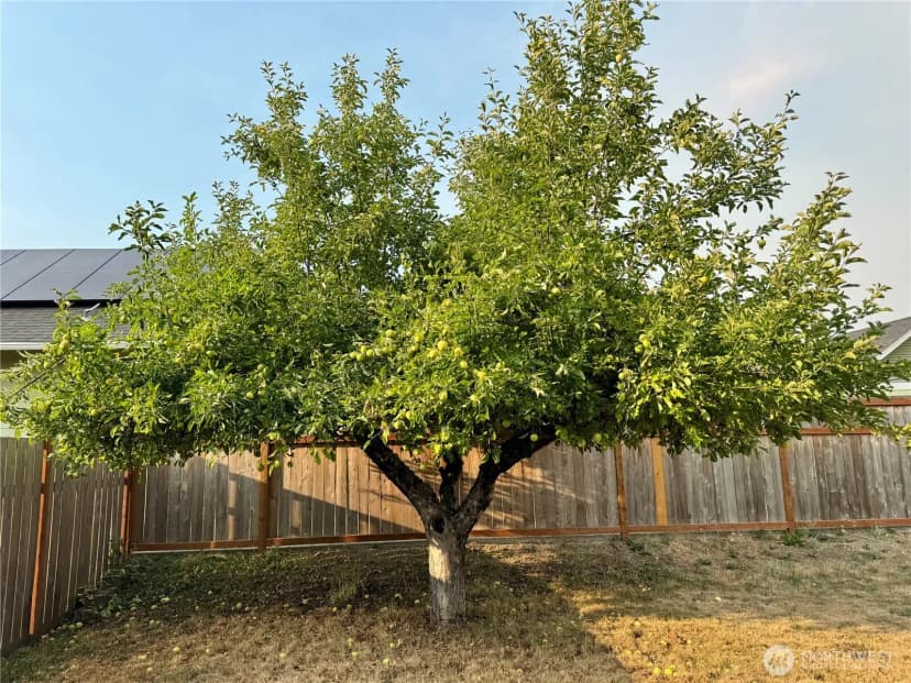 Property photo for 2025 Neilsen Avenue, Enumclaw photo 28