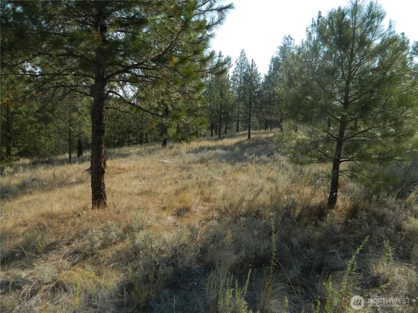 Property photo for 87 Peony Creek Road, Tonasket photo 33