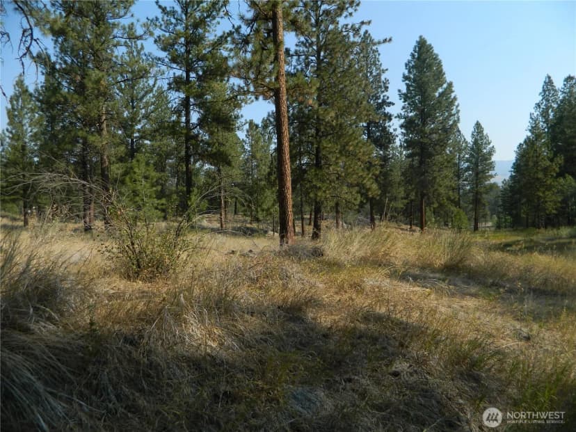 Property photo for 87 Peony Creek Road, Tonasket photo 36