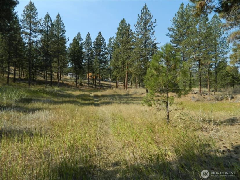 Property photo for 87 Peony Creek Road, Tonasket photo 37