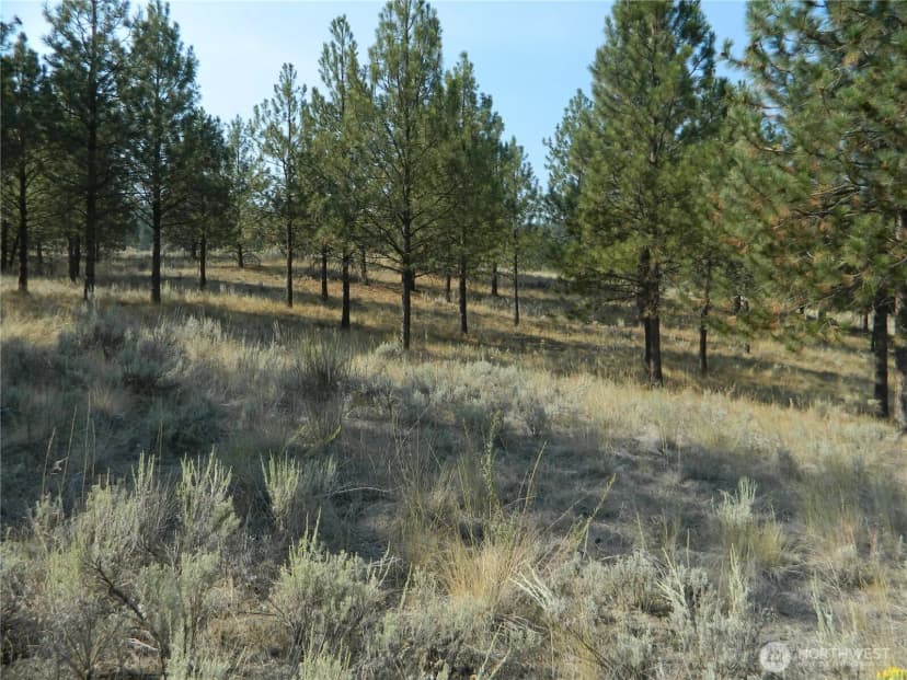 Property photo for 87 Peony Creek Road, Tonasket photo 34