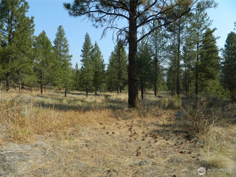 Property photo for 87 Peony Creek Road, Tonasket photo 35