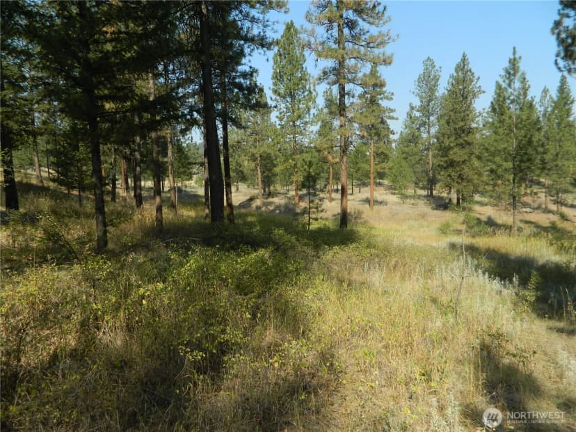 Property photo for 87 Peony Creek Road, Tonasket photo 39