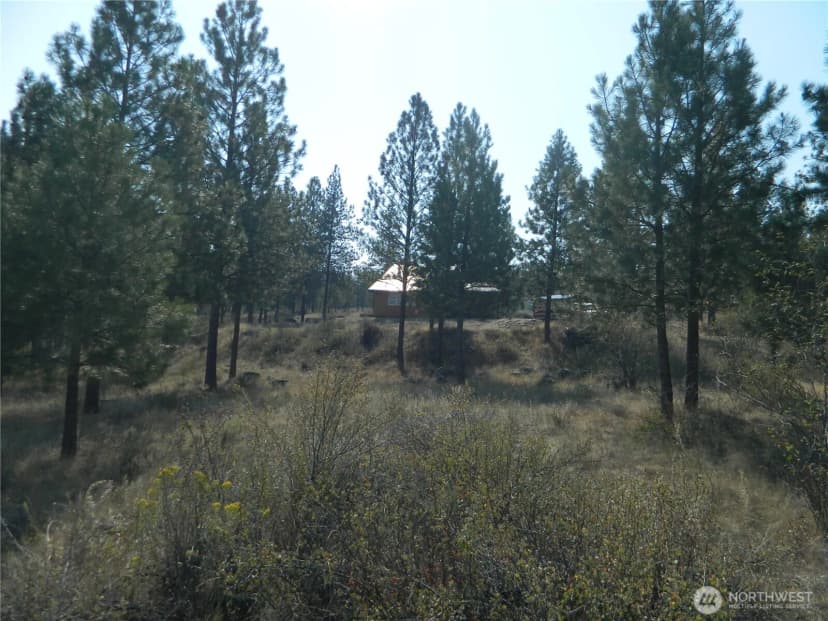 Property photo for 87 Peony Creek Road, Tonasket photo 32