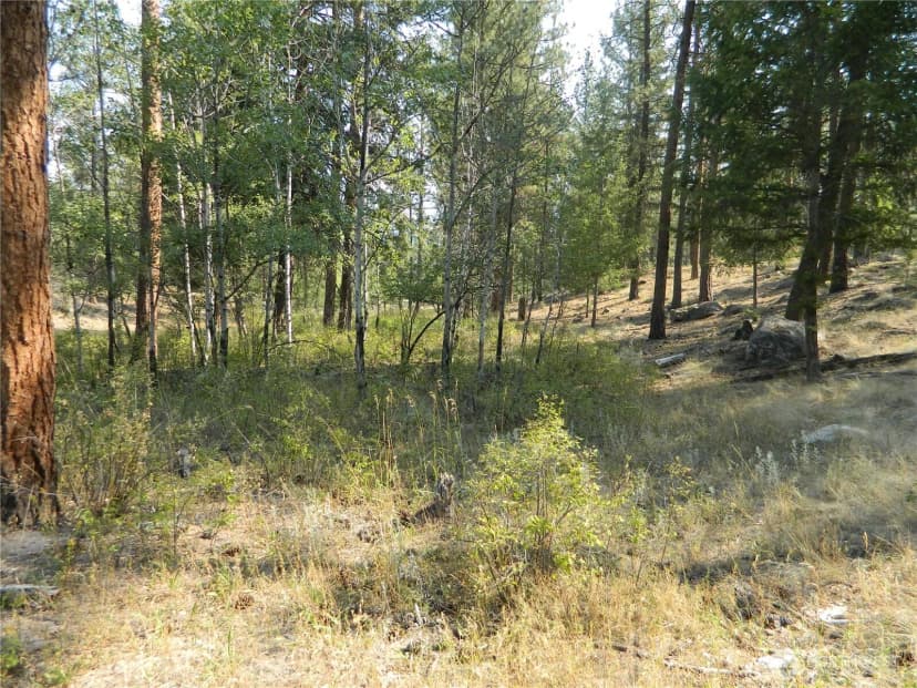 Property photo for 87 Peony Creek Road, Tonasket photo 38