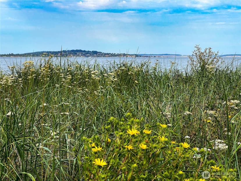 Property photo for 273 Foxfield Drive, Port Townsend photo 31