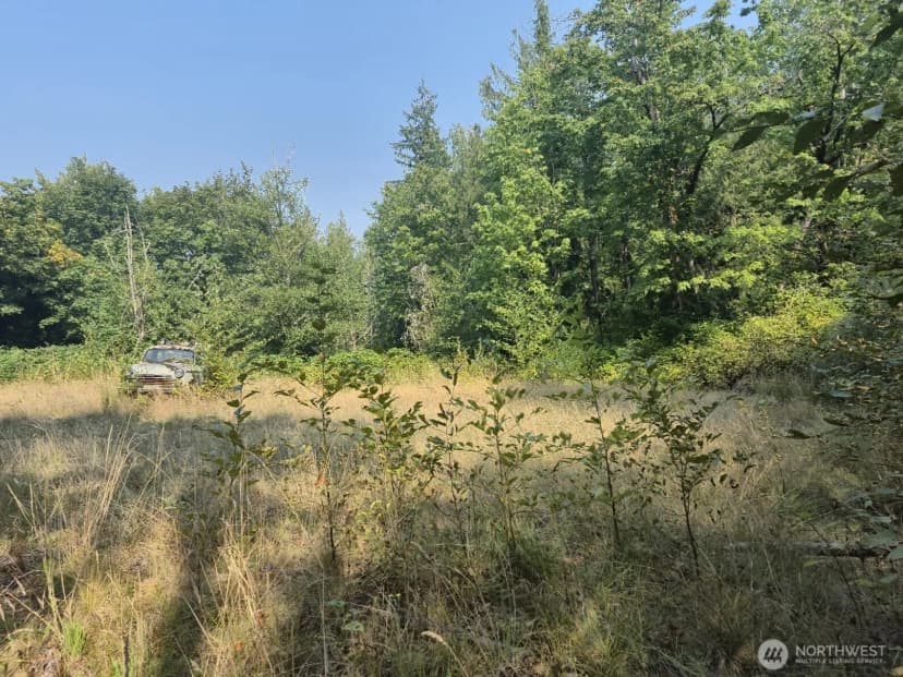 Property photo for 4680 Everson Goshen Road, Bellingham photo 6