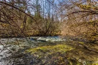 Property photo for 270 Skate Creek Road N, Ashford photo 36