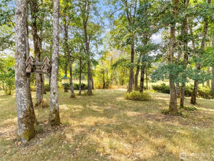 Property photo for 3607 180th Avenue Sw, Tenino photo 38