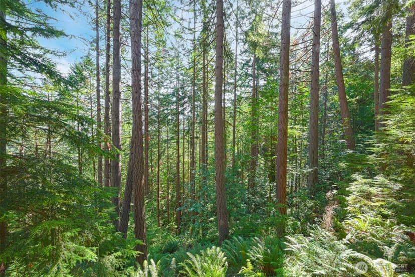 Property photo for 14 Gooseberry Circle, Bellingham photo 27