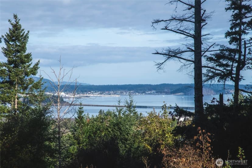 Property photo for 8661 Southridge Place, Anacortes photo 36
