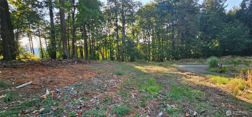 Property photo for 1124 Pear Street Ne, Olympia photo 6