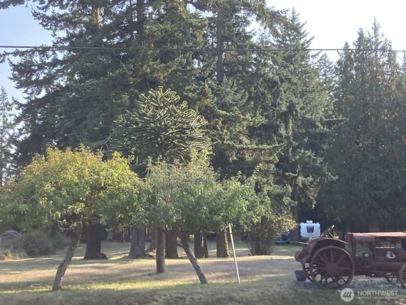 Property photo for 2421 Hastings Avenue W, Port Townsend photo 20