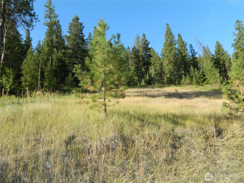 Property photo for 10 Sorona Way, Tonasket photo 6