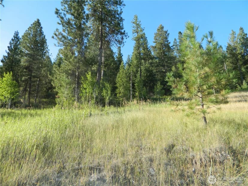 Property photo for 10 Sorona Way, Tonasket photo 7