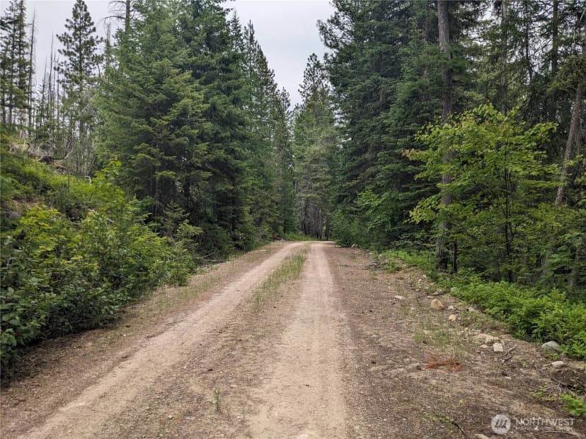 Property photo for 0 Tbd Bia Road #56, Nespelem photo 11