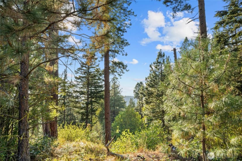 Property photo for 51 Steelhead Court, Cle Elum photo 27