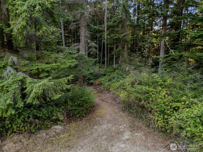 Property photo for 10500 Banner Road Se, Olalla photo 29