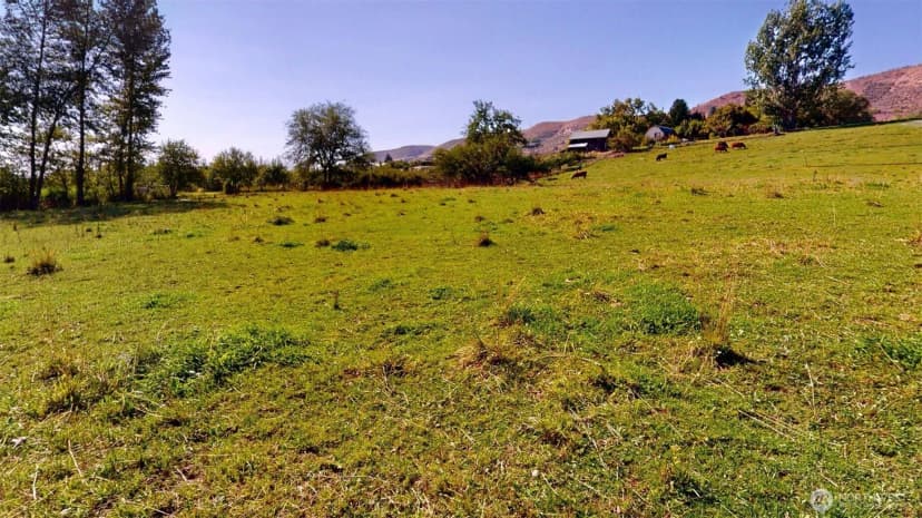 Property photo for 640 Hwy 7, Tonasket photo 4