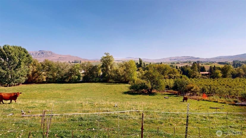 Property photo for 640 Hwy 7, Tonasket photo 33