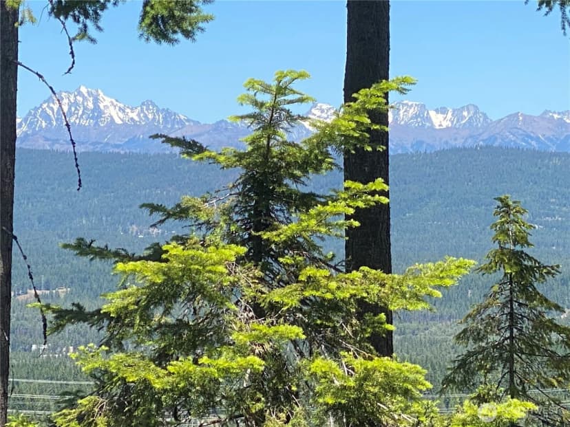 Property photo for 1021 Trailside Drive, Cle Elum photo 6