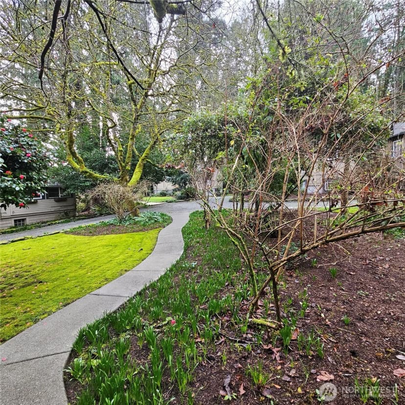 Property photo for 9380 Ferncliff Avenue Ne, Bainbridge Island photo 37