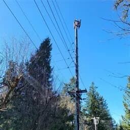 Property photo for 190 Xx Se 66th Street, Issaquah photo 18