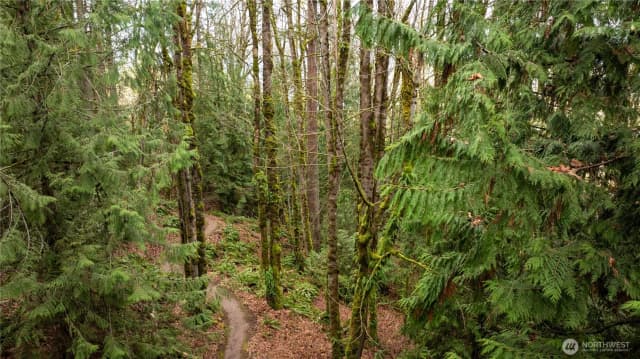 Property photo for 190 Xx Se 66th Street, Issaquah photo 5