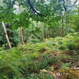 Property photo for 190 Xx Se 66th Street, Issaquah photo 23