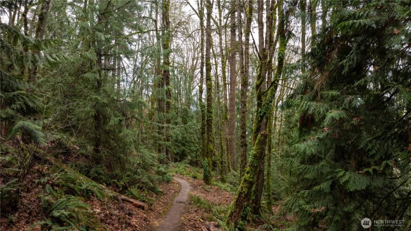 Property photo for 190 Xx Se 66th Street, Issaquah photo 7