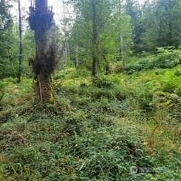 Property photo for 190 Xx Se 66th Street, Issaquah photo 20