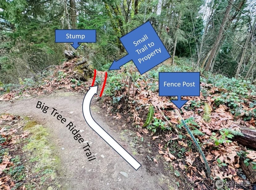 Property photo for 190 Xx Se 66th Street, Issaquah photo 31