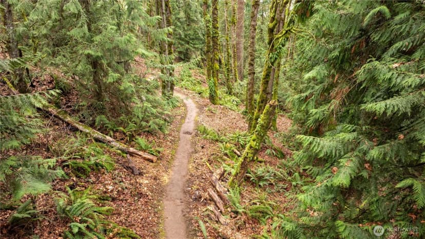 Property photo for 190 Xx Se 66th Street, Issaquah photo 6